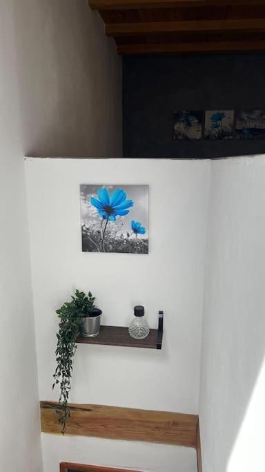 Nava Ca La Trini Vivienda Vacacional מראה חיצוני תמונה